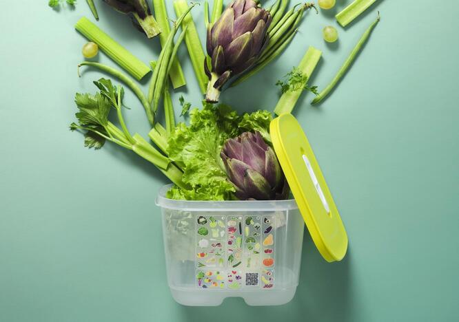 Tupperware VentSmart Korkea 1,8 l tupperware_ww_st_2101_4104.jpg
